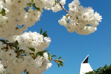 petite et nouvelle façade face au parc André Ciroën